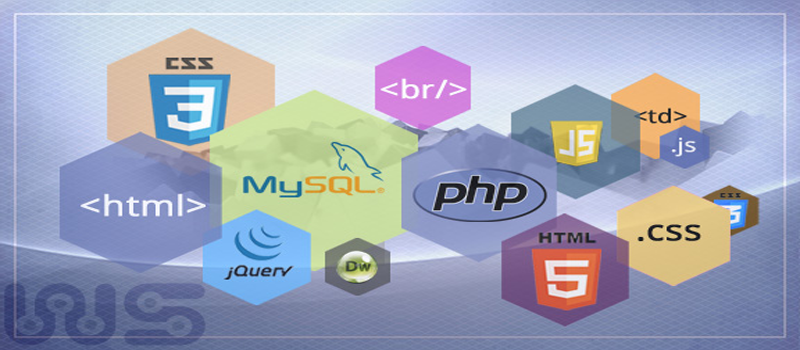 web-design-and-development-training